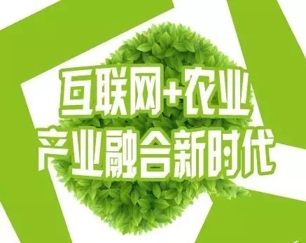 互聯(lián)網農業(yè)2